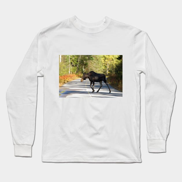 Jay Walking Moose - Algonquin Park, Canada Long Sleeve T-Shirt by Jim Cumming